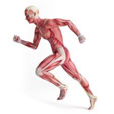 Move Well